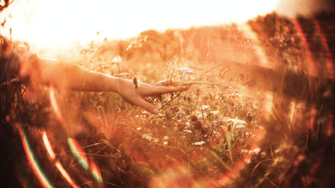 What is Holistic Healing?